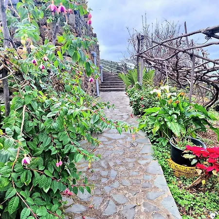 Σπίτι διακοπών Casa Canaria Drago In Icod De Vinos By Hrtenerife Net